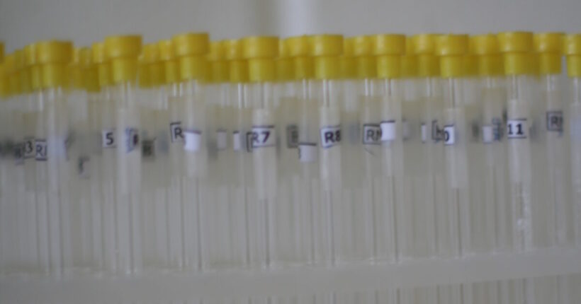 nmr tubes colloidal experiment