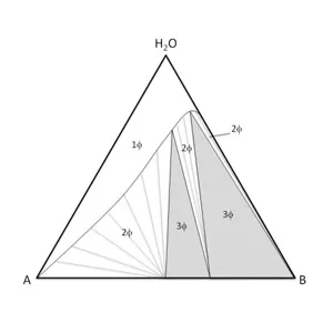 phase diagram