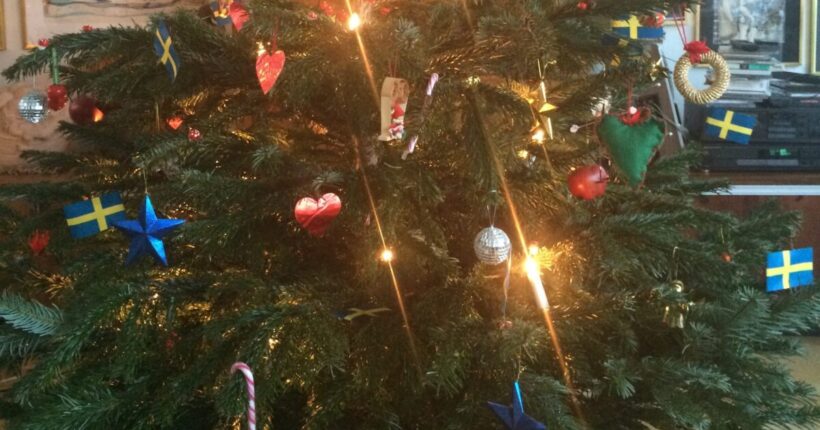 terpenes christmas tree chemistry